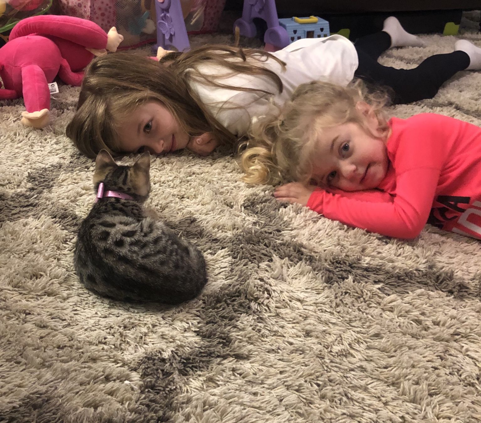 Cat selfies: Sissies with Scarla